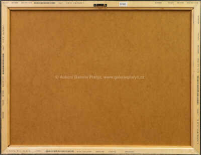  / Rypadlo / Vladimír Boudník