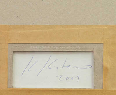  / Something wrong? / Krištof Kintera