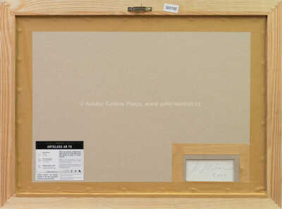  / Something wrong? / Krištof Kintera