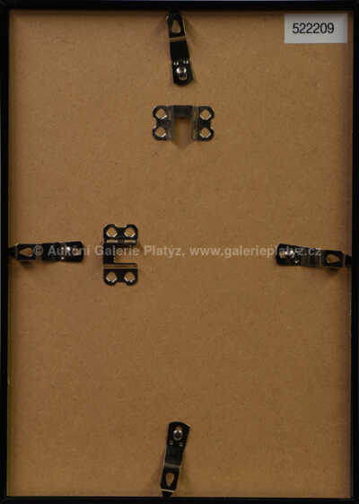  / Hlava Krista / Jan  Zrzavý
