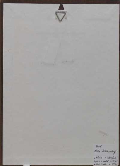  / Údolí v obavách / Albín Brunovský