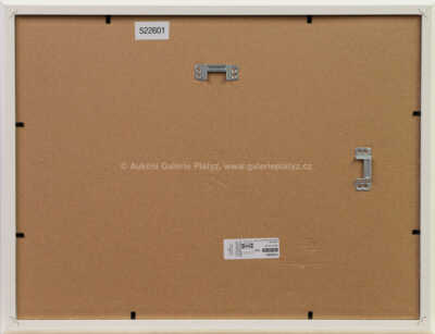  / Na koncertě / Vladimír Renčín