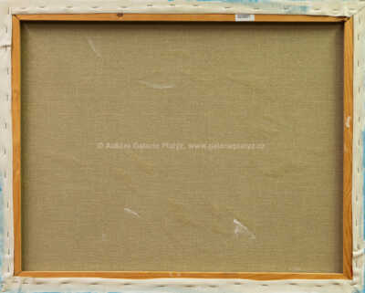  / Torzo aktu / Zdeněk Šorf