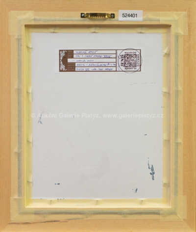  / Sen o staré Praze XXIV.  - Karlův most / Vladimír Jeniš