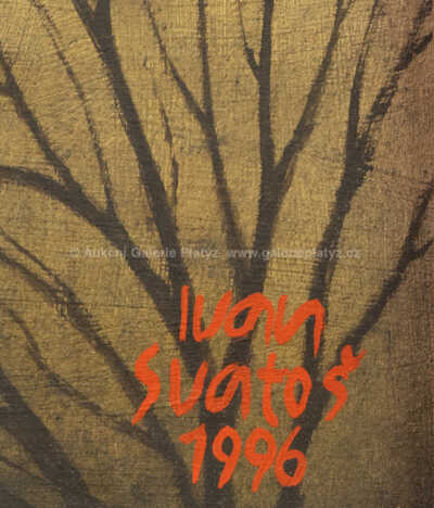  / Pražské Benátky / Ivan Svatoš