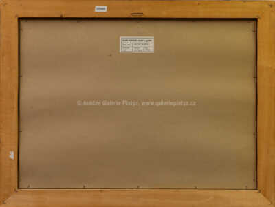  / Pražské Benátky / Ivan Svatoš