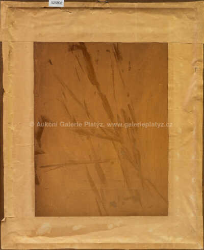  / Japonská brána Tori v Kjótu v zimě / František Tavík Šimon