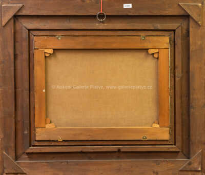  / Vltavská partie /  Josef Holub