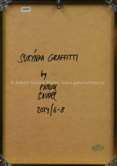  / Sukýnka Graffitti / Patrik Saudek
