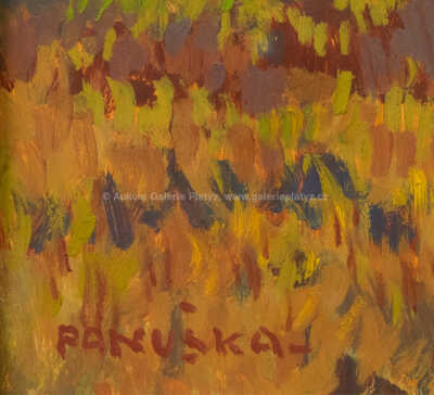  / Břízky / Jaroslav Panuška