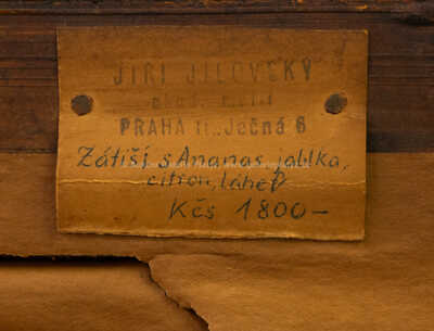  / Zátiší s ananasem / Jiří Georg Jílovský