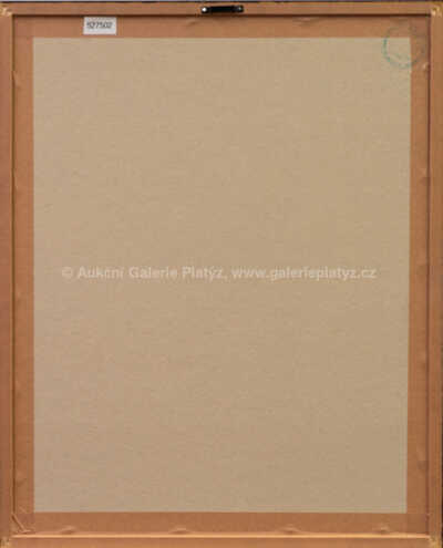  / Ozdobný květ / František Tavík Šimon