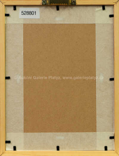  / Sue - záda / Olbram Zoubek