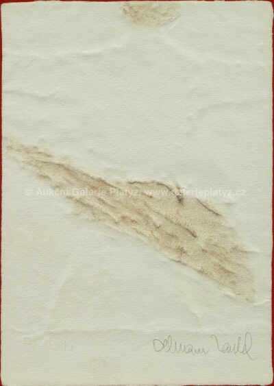  / Sue - záda / Olbram Zoubek