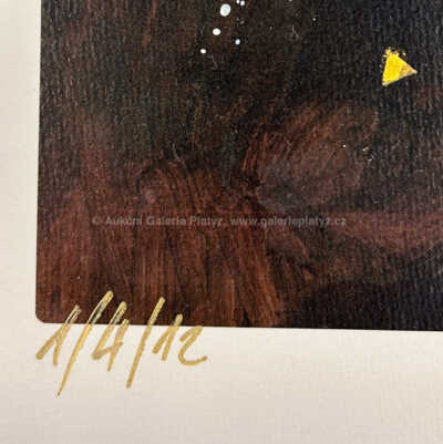  / Ženy / Patrik Saudek