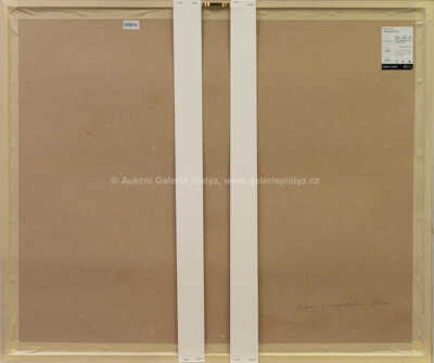  / Krajina s neposednou řekou / Josef Velčovský