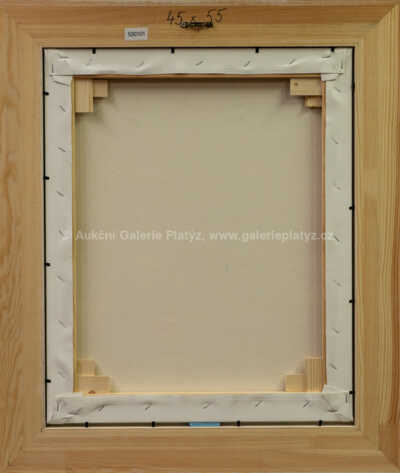  / Zvířátka ji hledají / František Ringo Čech