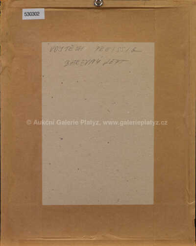  / Stromy v zahradě / Vojtěch Preissig