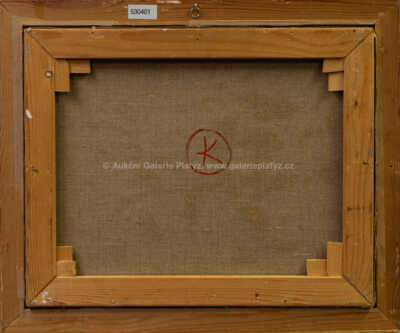  / Sáňkaři / Vladimír Kompánek