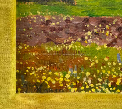  / Růžový keř / Jan Honsa