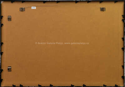  / Tanečnice / Jiří Načeradský