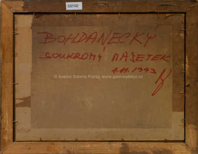  / Lesní interiér / Roman Havelka