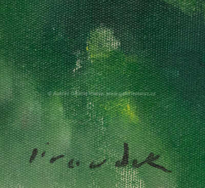  / Malá Skála / František Jiroudek