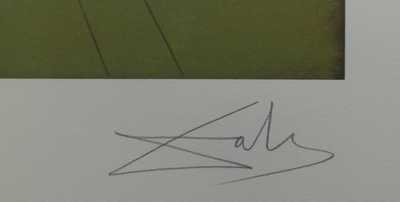  / Dvě dívky / Salvador Dalí