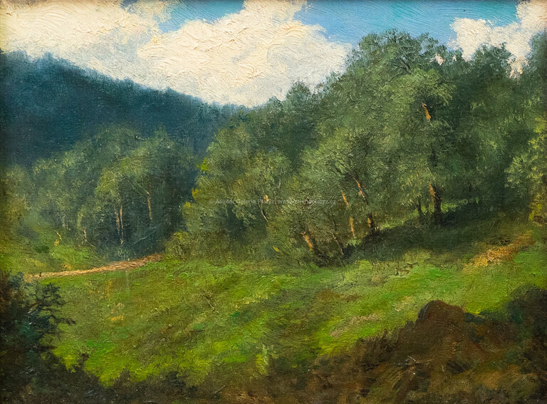  / Stráň pod lesem / František Xaver  Harlas