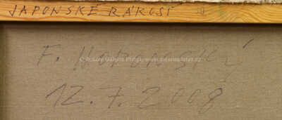  / Japonské rákosí / František Hodonský