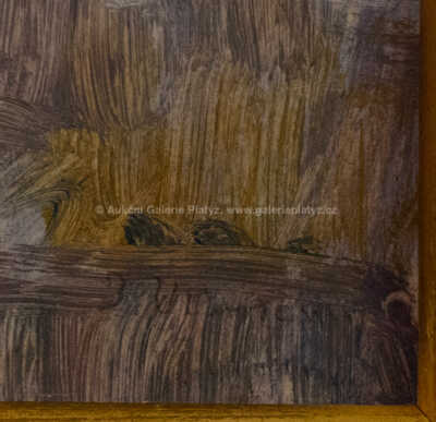  / Červánky / Josef Ullmann