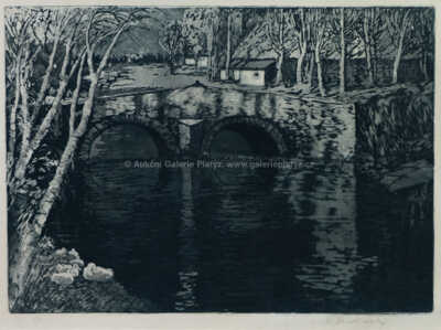  / Most v Opatovicích / Václav Radimský