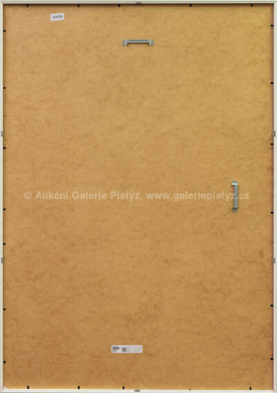  / Success / Pasta  Oner