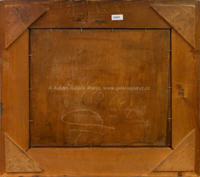  / Ženský akt / František Drtikol