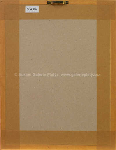  / Galerie Patro Ostrava / Adolf Born