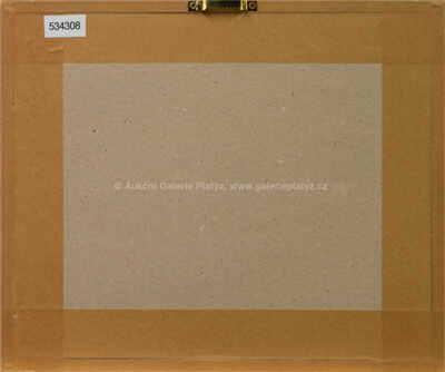  / Moonlight Tricks / Jan Saudek