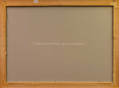  / Mořské pobřeží / Jaroslav Grus