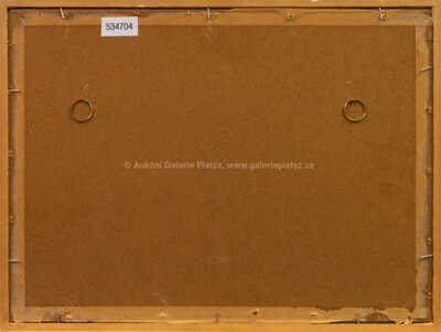  / Rybníček na návsi / Jaroslav Grus