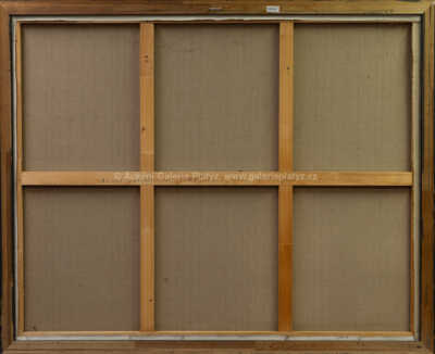  / Šaty (Ložnice) / Roman Brichcín