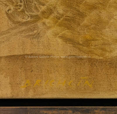  / Šaty (Ložnice) / Roman Brichcín