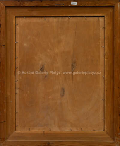  / Kytice lučního kvítí / Jan Bedřich Plaček