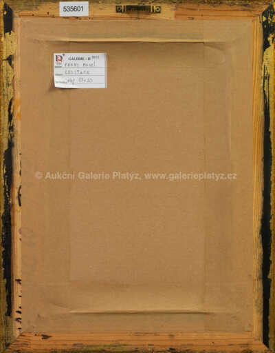  / Levitace / Pavel Pardy