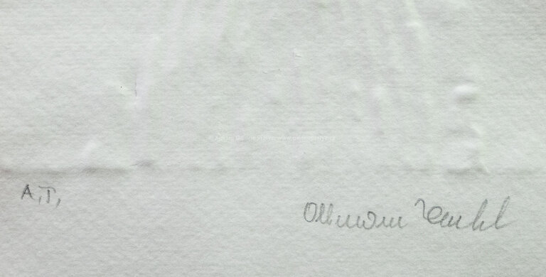  / Ruce ve vlasech / Olbram Zoubek