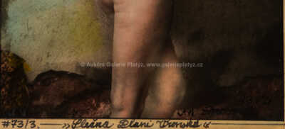  / Slečna Brani Vronská / Jan Saudek