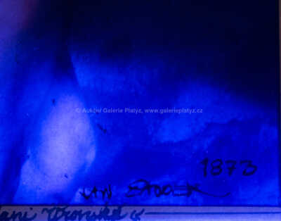  / Slečna Brani Vronská / Jan Saudek