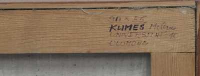  / Ptačí sněm / Milan Klimeš