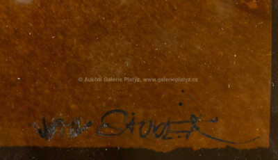  / The Bashful Woman (Nesmělá) / Jan Saudek