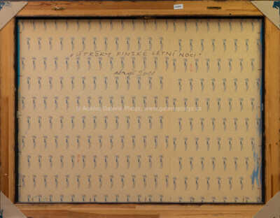  / Útržky finské letní noci / Josef Velčovský