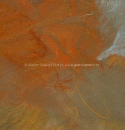  / Žena v klobouku / Luděk Marold