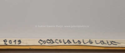  / Cocacolalolololo / Martin Krajc